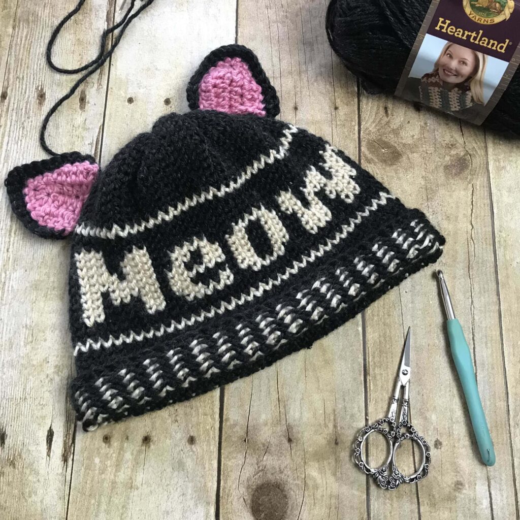 Meow Beanie assembled on table with ears