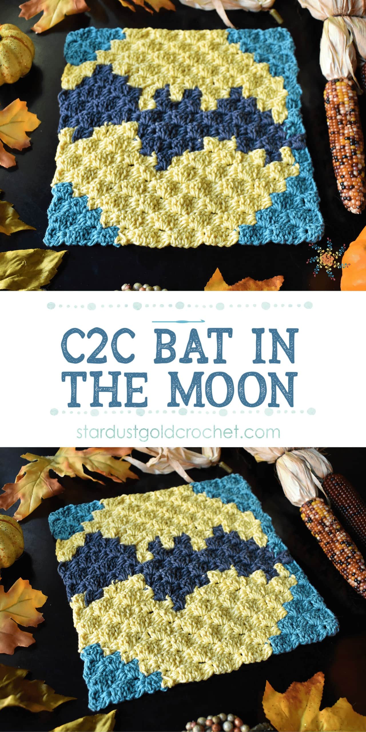 Bat in the Moon C2C Pin