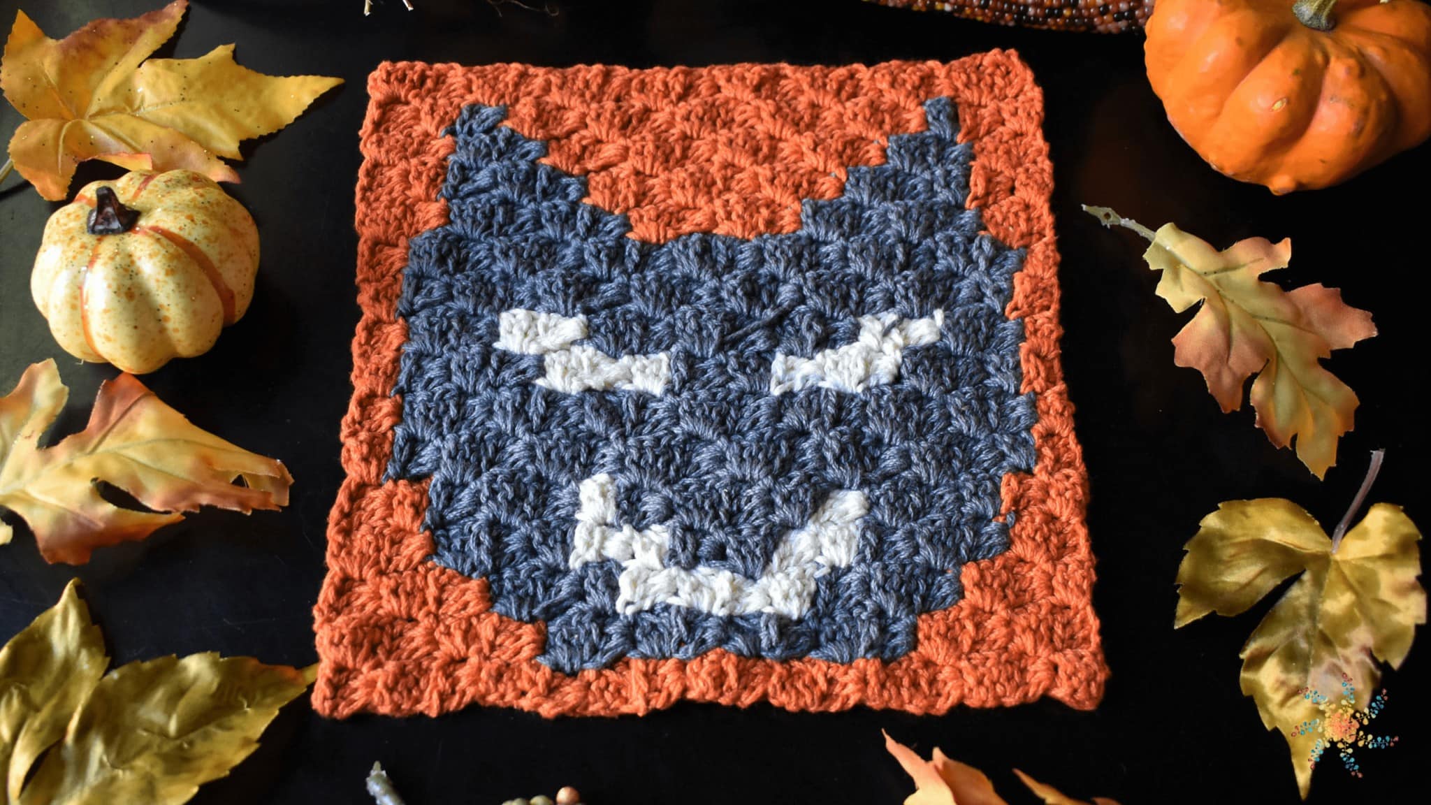 Black Cat C2C Square Part 8 of 8 Halloween Crochet Blanket & Wall