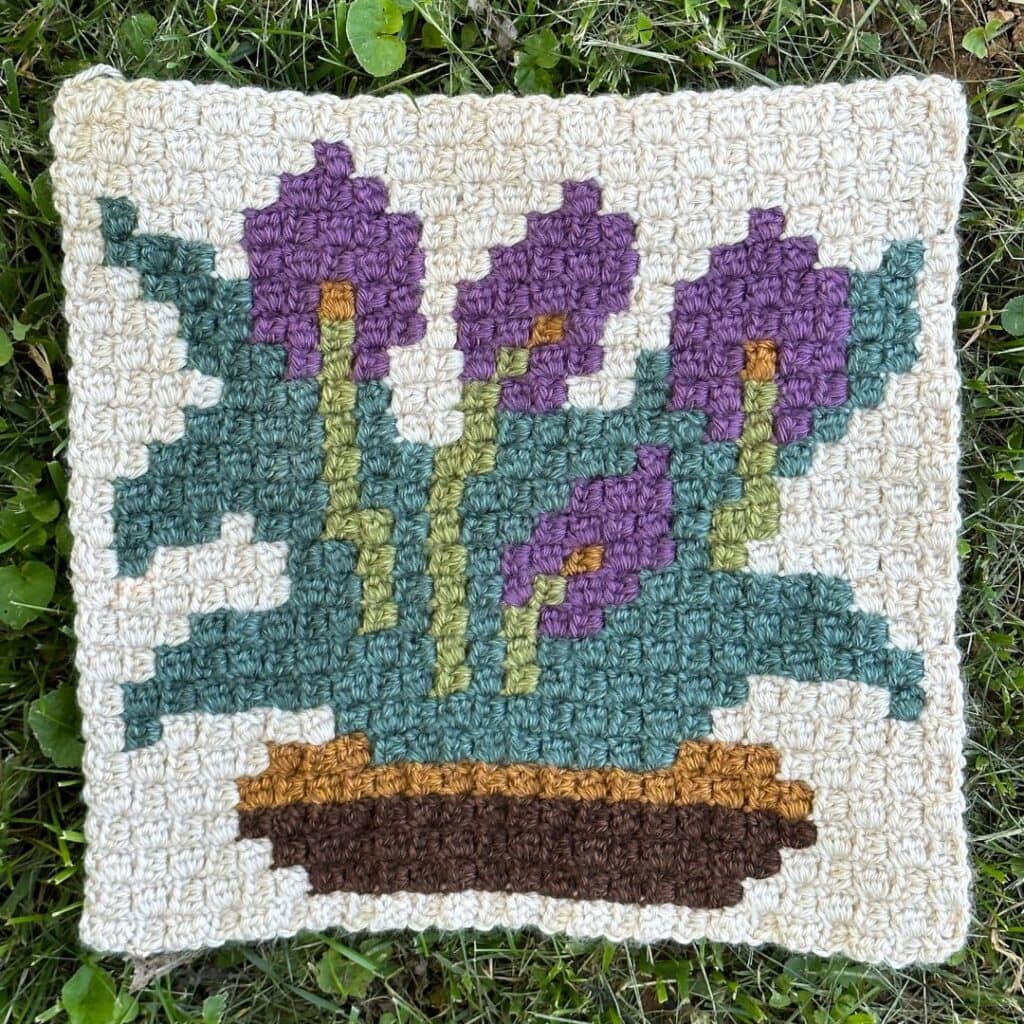 Crochet C2C peace lily