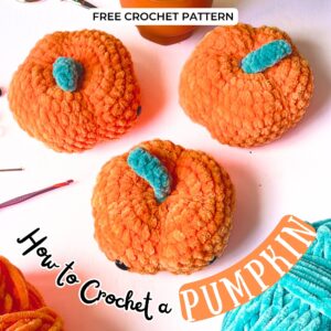 Crochet Pumpkin Pattern for Beginners Amigurumi Plushie (1)
