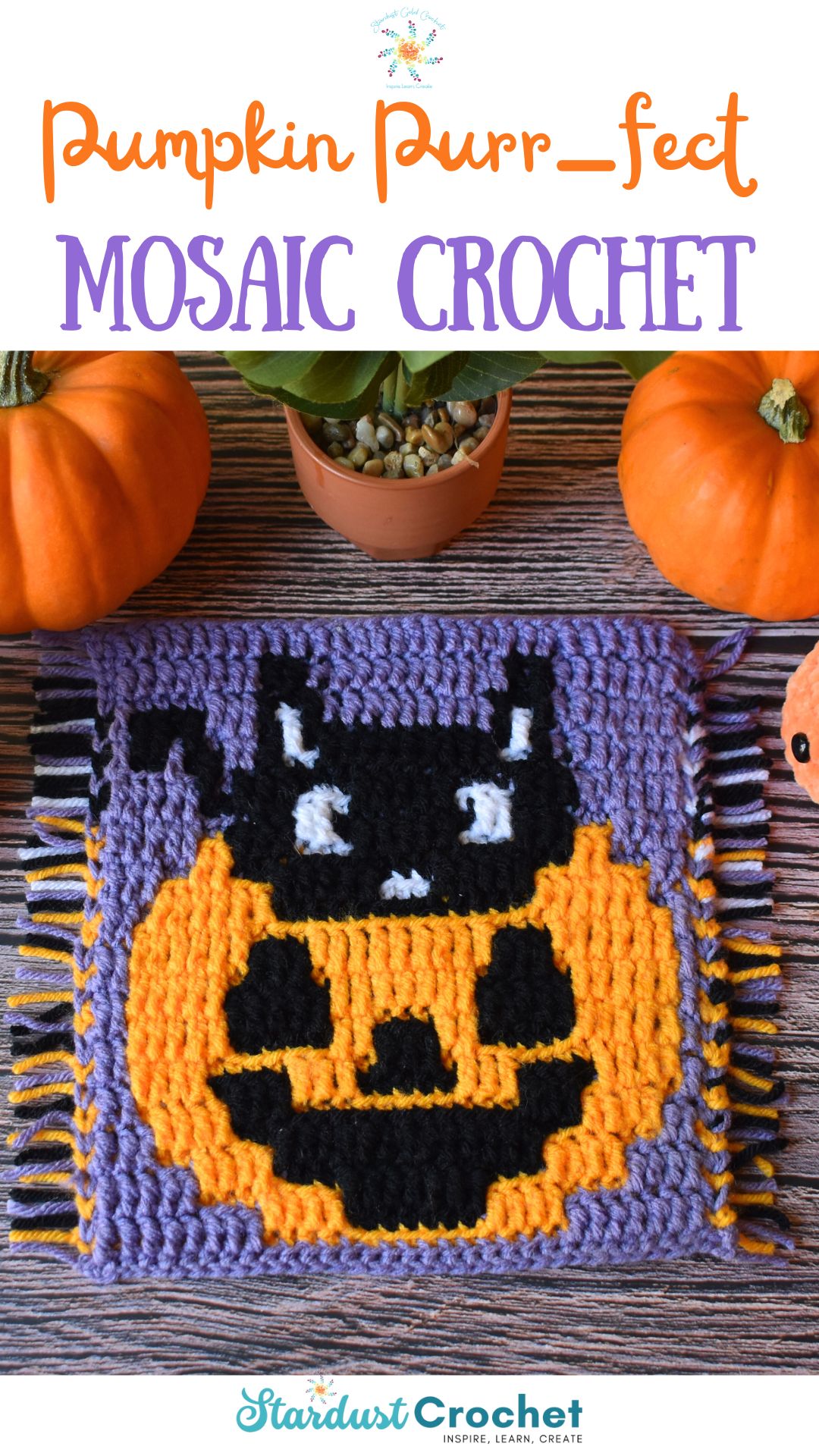 Pumpkin Purr-Fect Mosaic Crochet Pattern